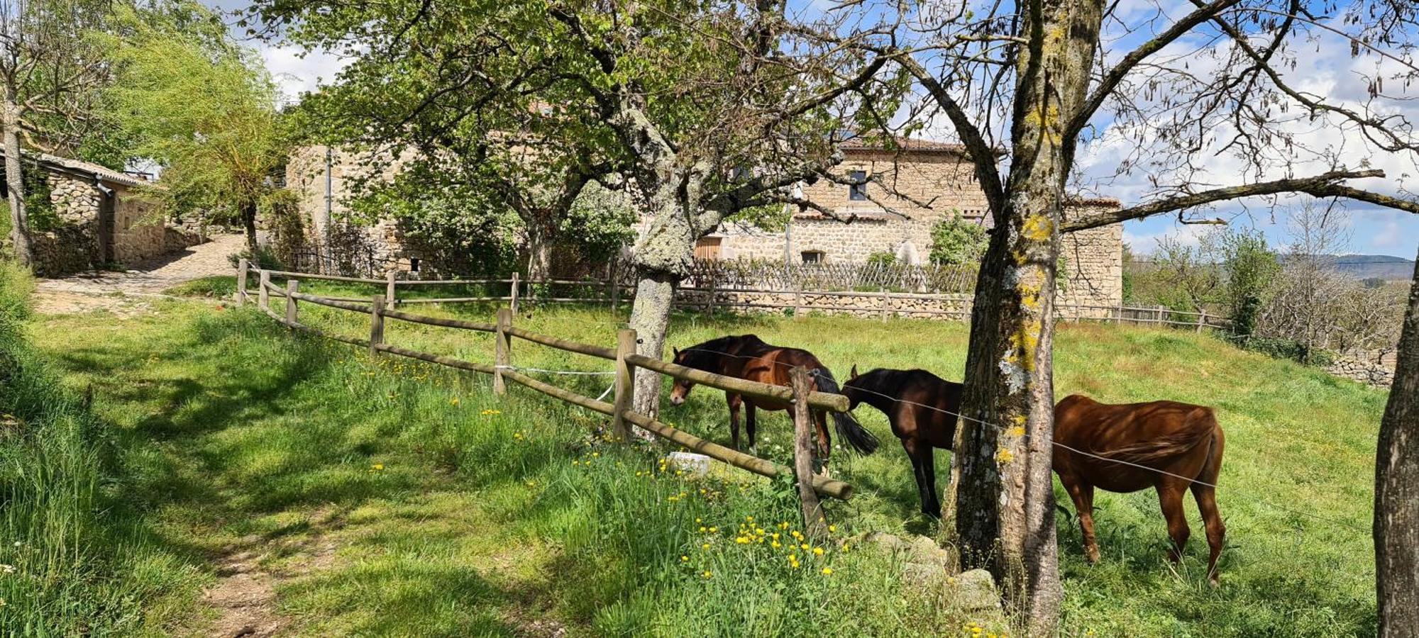 Gites Domaine De Silhac Ardeche Exterior foto