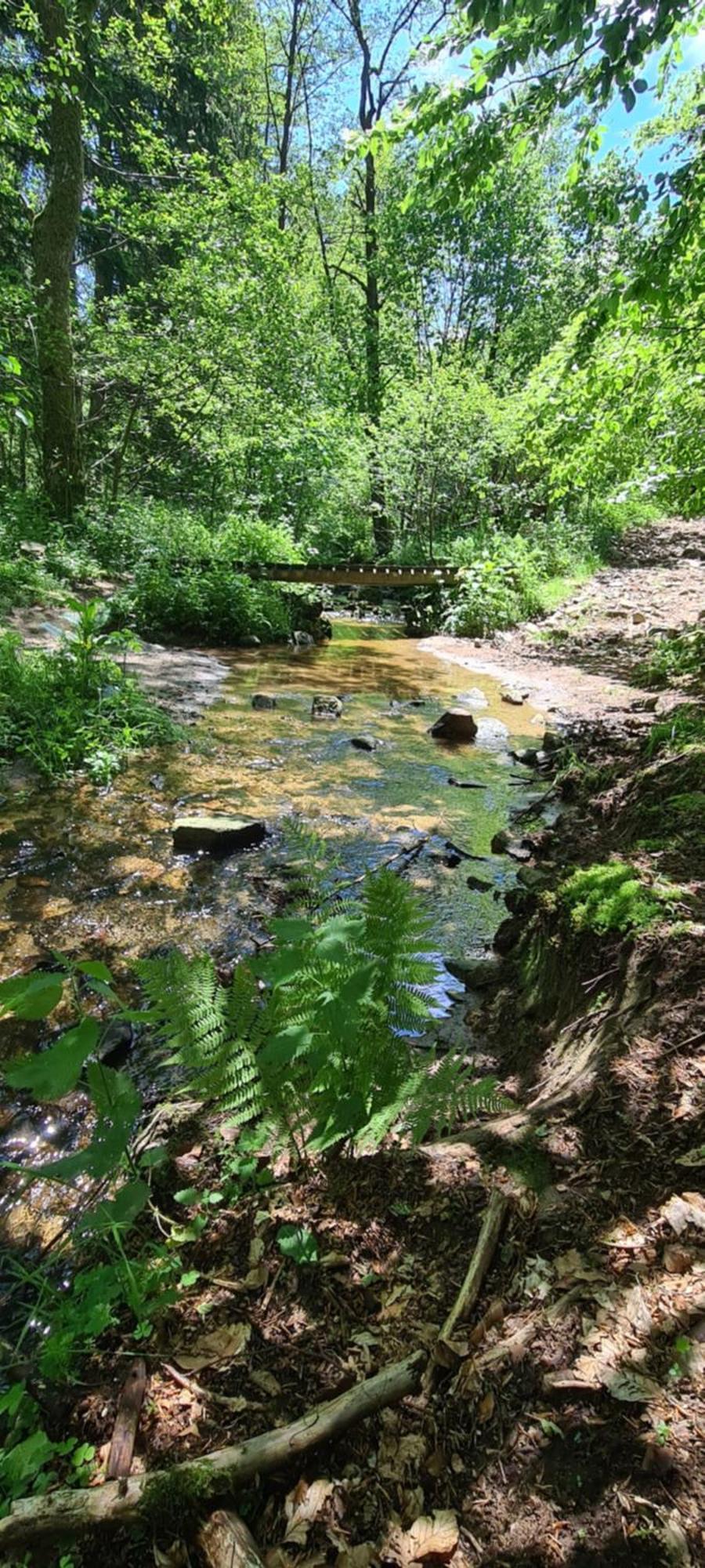 Gites Domaine De Silhac Ardeche Exterior foto